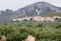 Mas de Barberans over its olive groves